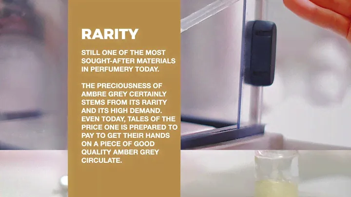 Ambre Gris by Alyssa Ashley